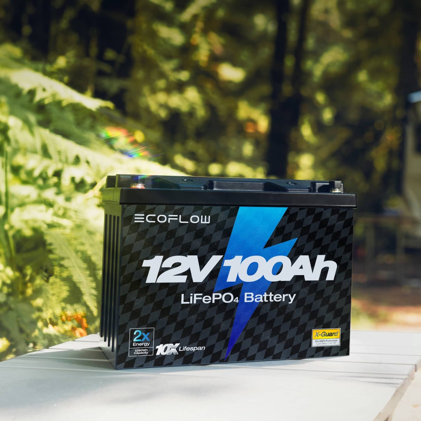 Alaiify Lithium 12V 100Ah Deep Cycle LiFePO4 Battery