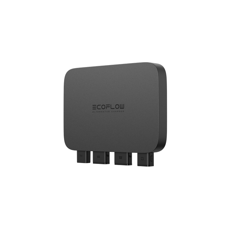 Alaiify 800W Alternator Charger