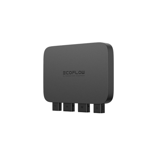 Alaiify 800W Alternator Charger
