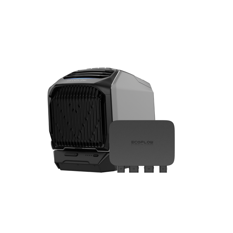Alaiify 800W Alternator Charger