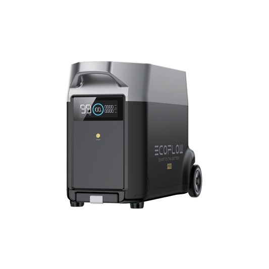 Alaiify DELTA Pro Smart Extra Battery