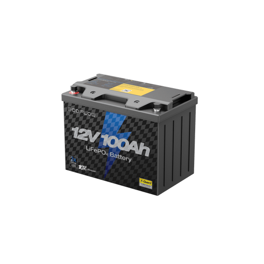 Alaiify Lithium 12V 100Ah Deep Cycle LiFePO4 Battery